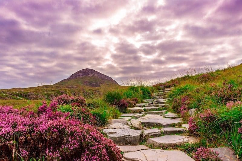 Spring in Ireland